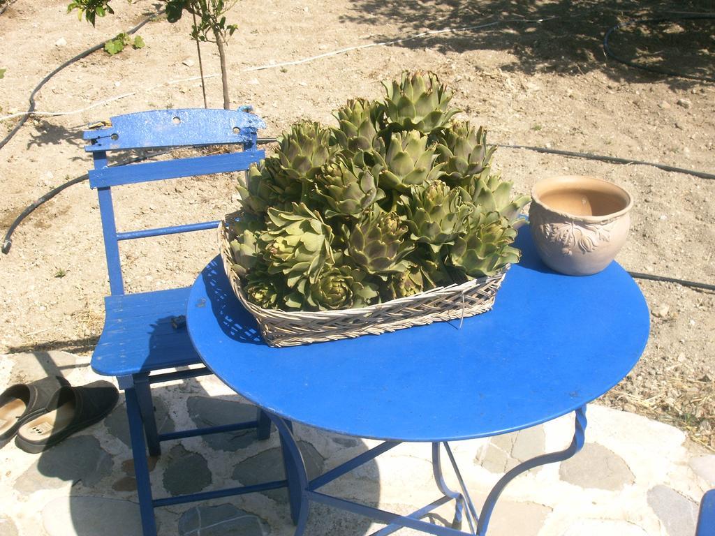 O Ioannis Vakantiehuis