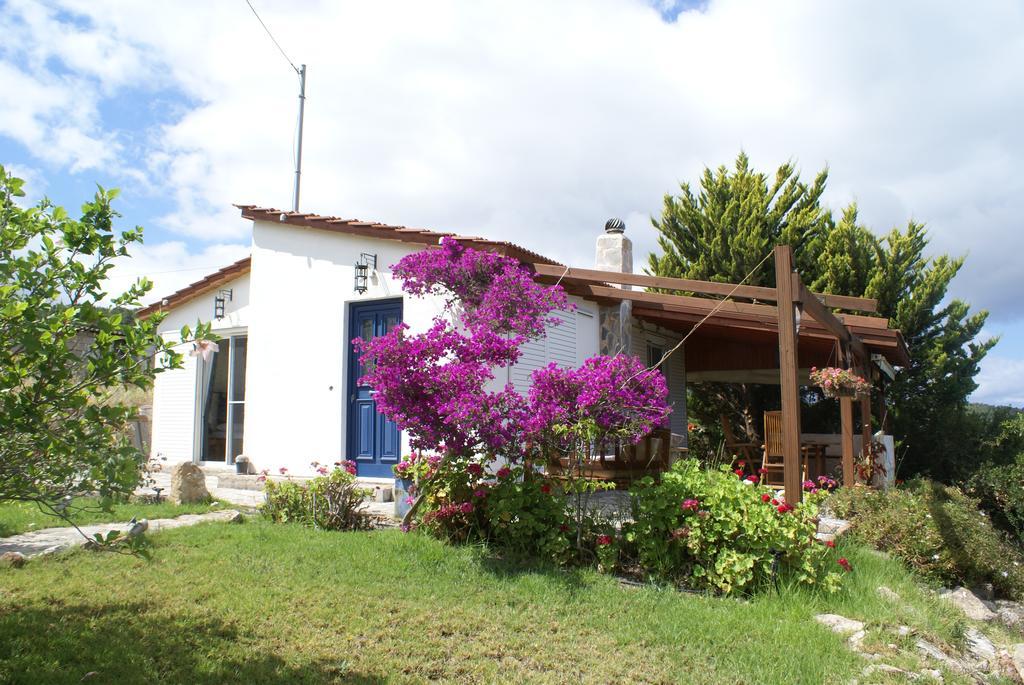Vakantiehuis O Ioannis *